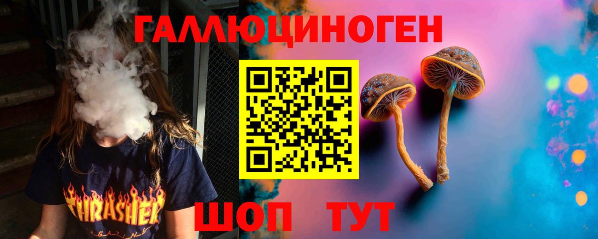 Воткинск  Псилоцибиновые грибы Psilocybe  Вход с VPN 